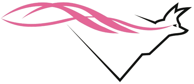 Vixen Logistics